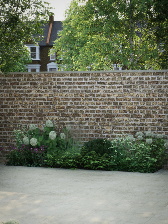 Professionally designed planting schemes for shade, delivered to your door.